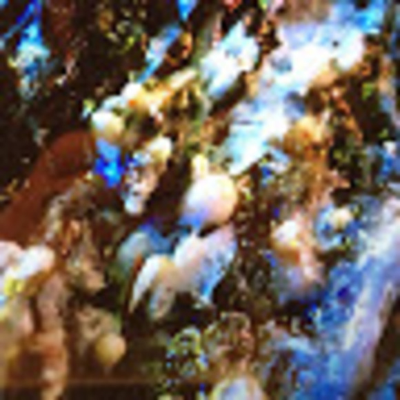 Meet your Posher, Alix - Picture 1 of 1